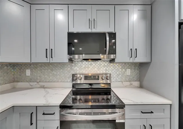 5th image of 1025 Apollo Bch Blvd, APOLLO BEACH, FL 33572