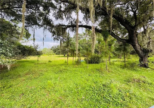 4th image of Detjens Dairy Rd, Venus, FL 33960 | MLS# L4959632