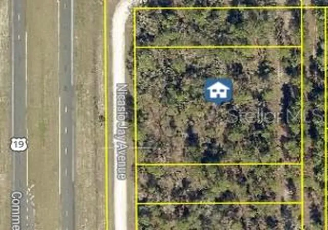 Photo 3 of Land for sale at 17496 Nicasio Jay Ave, Weeki Wachee, FL 34614 | MLS# W7883302 | Listing updated on 2026-03-02