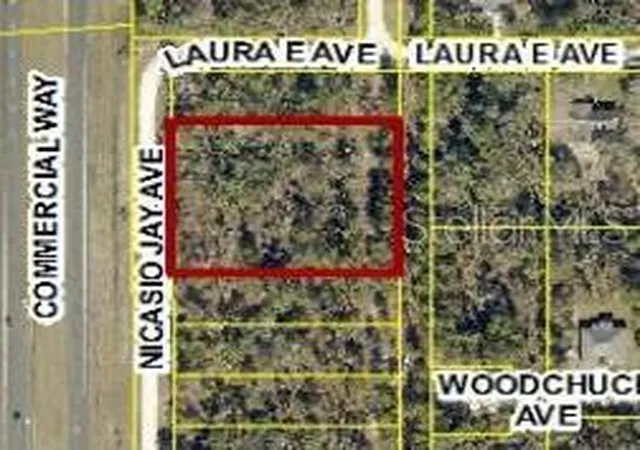 Photo 3 of Land for sale at 17496 Nicasio Jay Ave, Weeki Wachee, FL 34614 | MLS# W7883302 | Listing updated on 2026-03-02