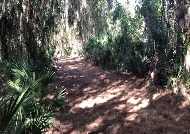 2nd image of Lake Reedy Blvd N, Frostproof, FL 33843 | MLS# P4937952