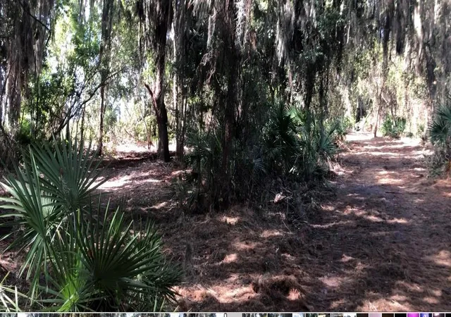 3rd image of Lake Reedy Blvd N, Frostproof, FL 33843 | MLS# P4937952