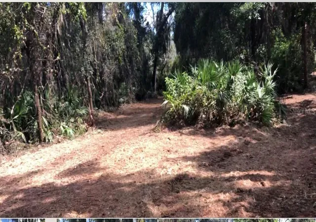 5th image of Lake Reedy Blvd N, Frostproof, FL 33843 | MLS# P4937952