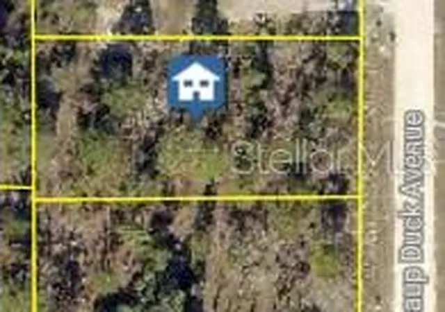 Homes for sale in Weeki Wachee, FL | 16051 Scaup Duck Ave, Weeki Wachee, FL 34614 | MLS# W7883309