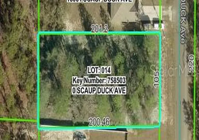 Homes for sale in Weeki Wachee, FL | 16051 Scaup Duck Ave, Weeki Wachee, FL 34614 | MLS# W7883309
