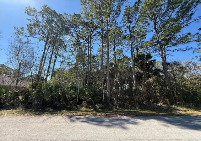 Photo 1 of Land for sale at 28 Phoenix Ln, Palm Coast, FL 32164 | MLS# FC316417 | Listing updated on 2026-10-20