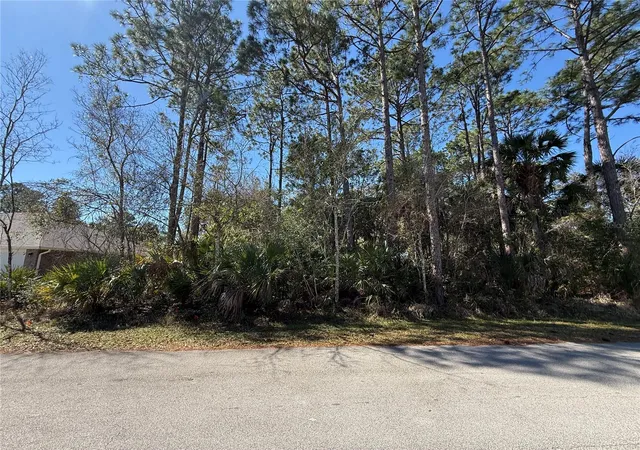 Photo 3 of Land for sale at 28 Phoenix Ln, Palm Coast, FL 32164 | MLS# FC316417 | Listing updated on 2026-10-20