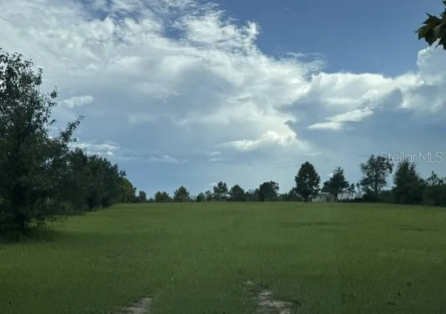 Photo 2 of Land for sale at 3378 W State Rd 238, Lake Butler, FL 32054 | MLS# GC537845 | Listing updated on 2026-08-27