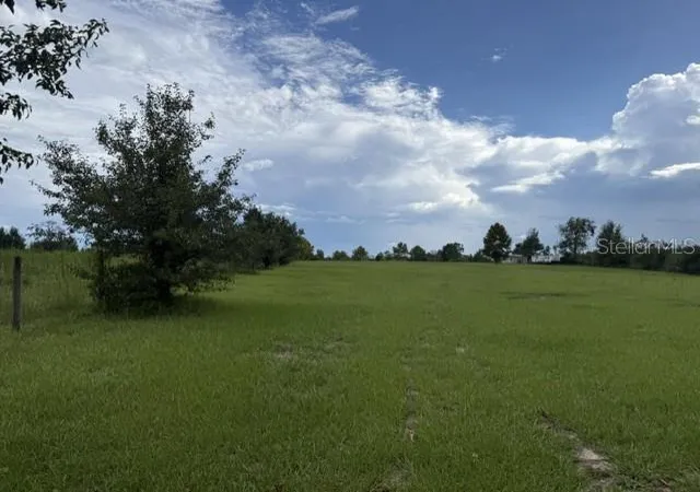 Photo 4 of Land for sale at 3378 W State Rd 238, Lake Butler, FL 32054 | MLS# GC537845 | Listing updated on 2026-08-27