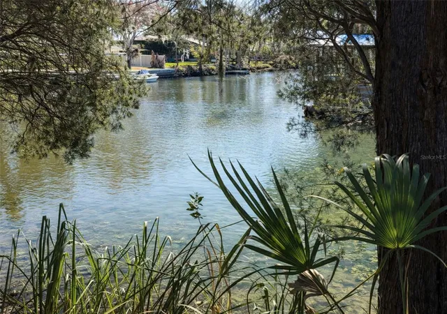Photo 3 of Land for sale at 10748 W Pine Bark Ln, Crystal River, FL 34429 | MLS# OM719473 | Listing updated on 2026-09-02