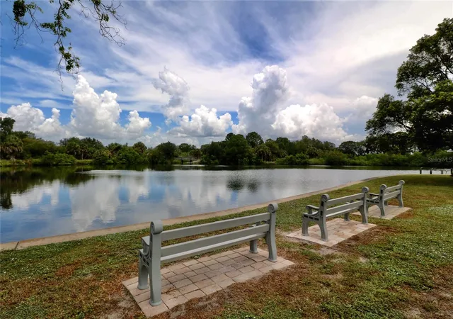 23rd image of 225 N Saint Thomas Cir, Apollo Beach, FL 33572 | MLS# TB8479789