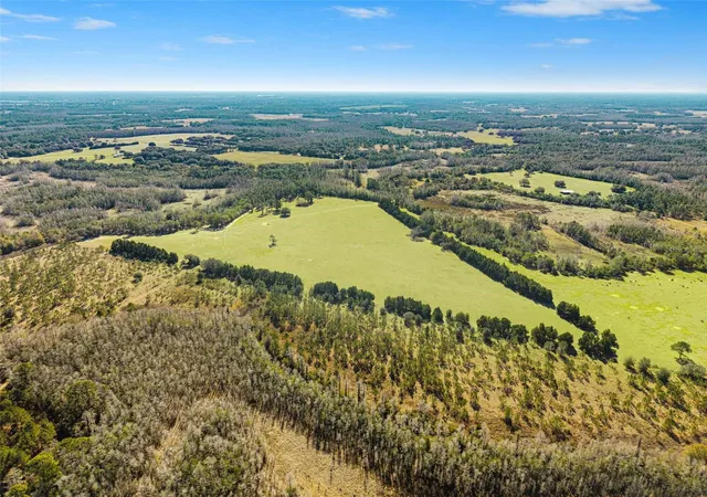 Photo 4 of Land for sale at Lake Erie Rd, Groveland, FL 34736 | MLS# W7883334 | Listing updated on 2026-09-18