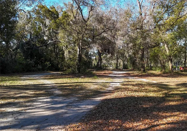Photo 4 of Land for sale at 3015 Owls Nest Ln, Plant City, FL 33565 | MLS# GC537869 | Listing updated on 2026-02-26