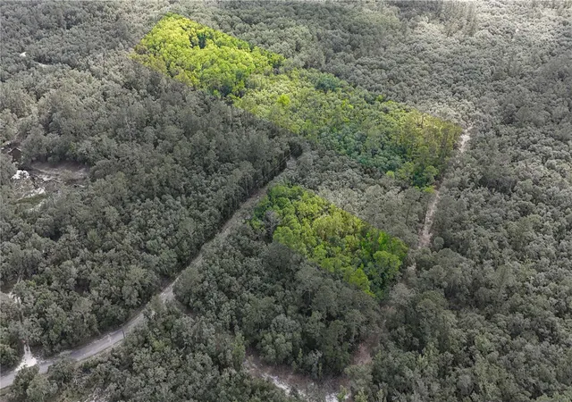 Homes for sale in Fanning Springs, FL | Tbd Off Riverview Rd #9, Fanning Springs, FL 32693 | MLS# OM719537