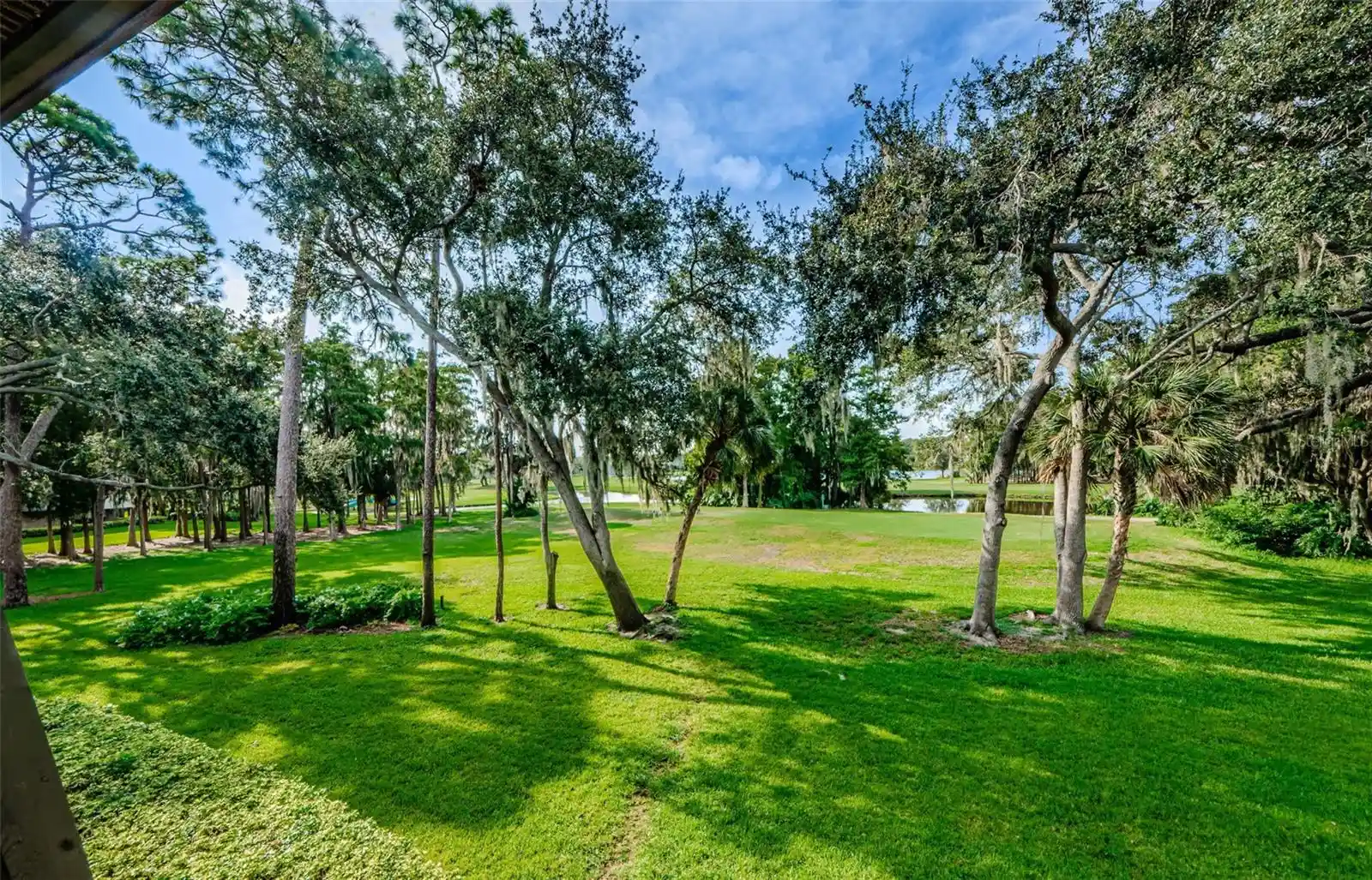 Listing Photo 2 - Condo for sale in 36750 Us Hwy 19 N located at 36750 Us Hwy 19 N, PALM HARBOR, FL 34684 - Unit #2177