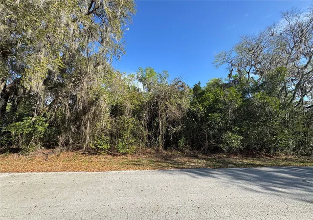 Homes for sale in Lake Panasoffkee, FL | Cr 482c, Lake Panasoffkee, FL 33538 | MLS# G5108731