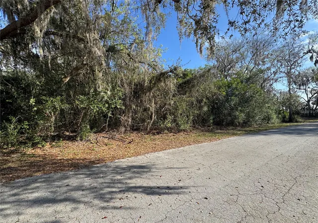 Homes for sale in Lake Panasoffkee, FL | Cr 482c, Lake Panasoffkee, FL 33538 | MLS# G5108731