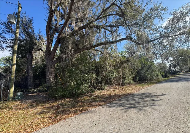 Homes for sale in Lake Panasoffkee, FL | Cr 482C, Lake Panasoffkee, FL 33538 | MLS# G5108731