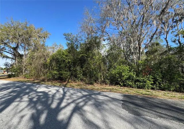 Homes for sale in Lake Panasoffkee, FL | Cr 482C, Lake Panasoffkee, FL 33538 | MLS# G5108731