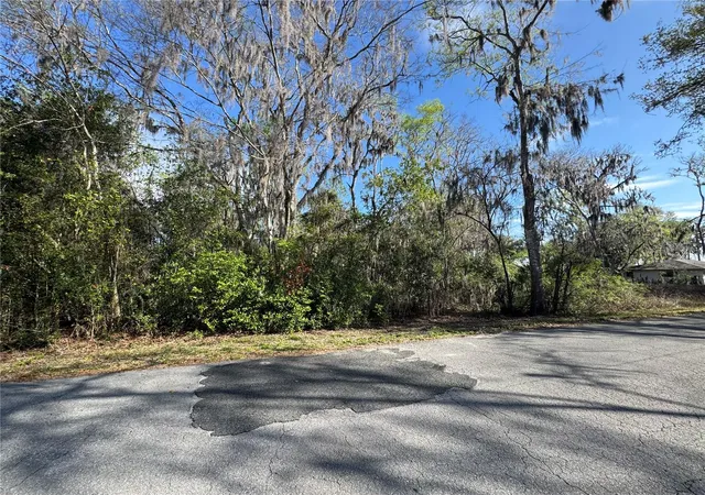 Homes for sale in Lake Panasoffkee, FL | Cr 482C, Lake Panasoffkee, FL 33538 | MLS# G5108731