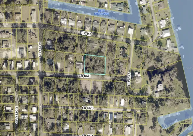 Homes for sale in Lake Panasoffkee, FL | Cr 482c, Lake Panasoffkee, FL 33538 | MLS# G5108731