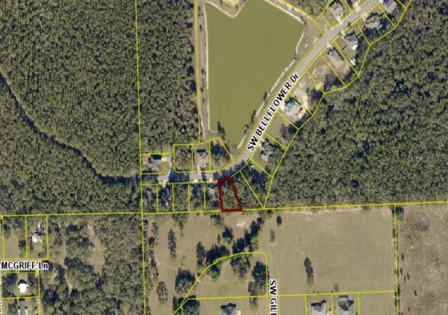 Homes for sale in Lake City, FL | 593 Sw Bellflower Dr, Lake City, FL 32024 | MLS# GC537914