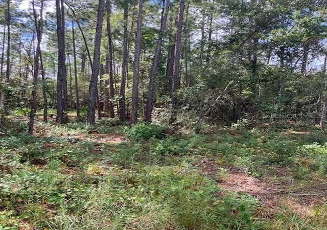 Land for sale at 4515 Mahogany Blvd, BUNNELL, FL 32110 | MLS# FC316484