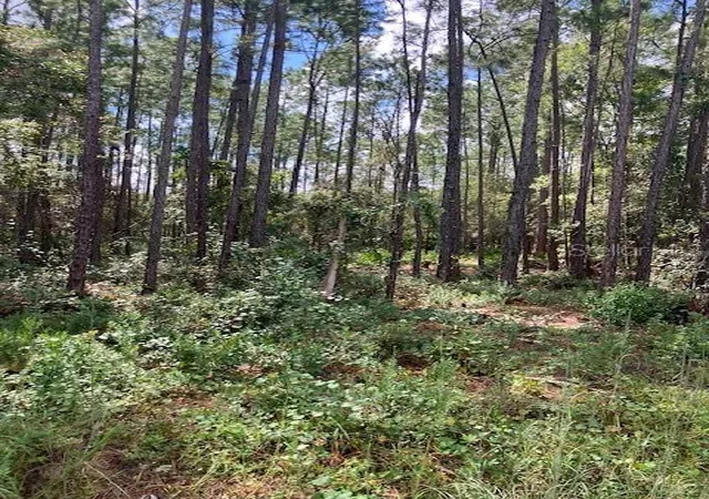 Photo 2 of Land for sale at 4515 Mahogany Blvd, Bunnell, FL 32110 | MLS# FC316484 | Listing updated on 2026-10-06