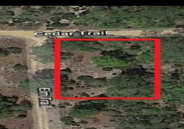 Photo 1 of Land for sale at 326 Elm Trl, Interlachen, FL 32148 | MLS# TB8480353 | Listing updated on 2026-08-11