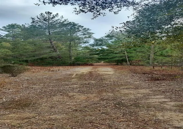 Photo 2 of Land for sale at 326 Elm Trl, Interlachen, FL 32148 | MLS# TB8480353 | Listing updated on 2026-08-11