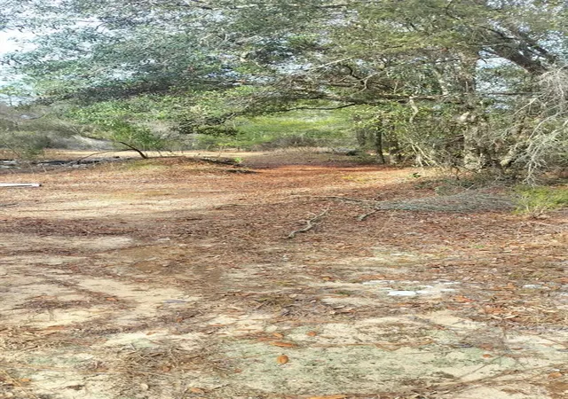 Photo 3 of Land for sale at 326 Elm Trl, Interlachen, FL 32148 | MLS# TB8480353 | Listing updated on 2026-08-11