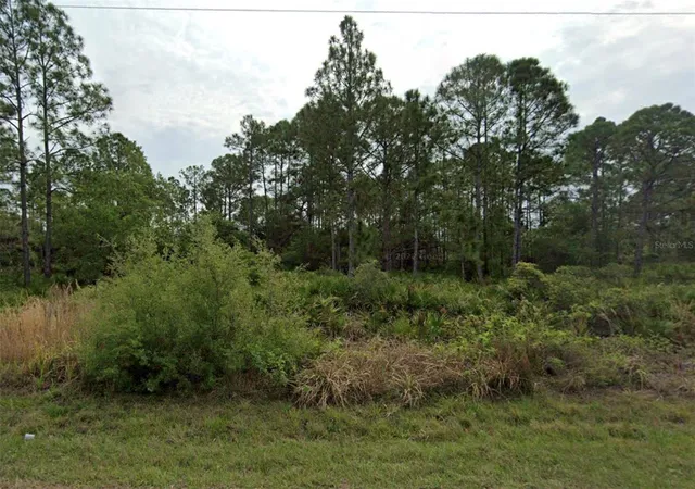 Photo 1 of Land for sale at 3262 Tiffiny St, Punta Gorda, FL 33980 | MLS# O6385635 | Listing updated on 2026-02-27
