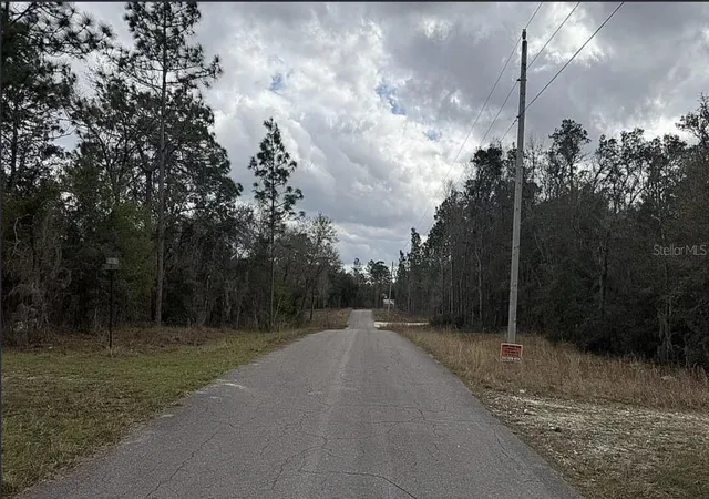 Photo 2 of Land for sale at 0 Ne 16th Place, Williston, FL 32696 | MLS# A4683956 | Listing updated on 2026-09-29