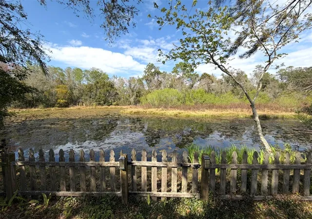 17th image of 12824 Dunhill Dr, Tampa, FL 33624 | MLS# TB8480462
