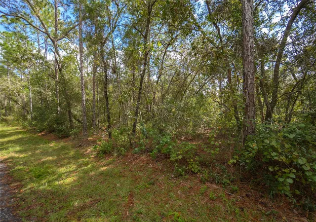 Photo 2 of Land for sale at 3210 E Michael St, Inverness, FL 34453 | MLS# W7883407 | Listing updated on 2026-09-01