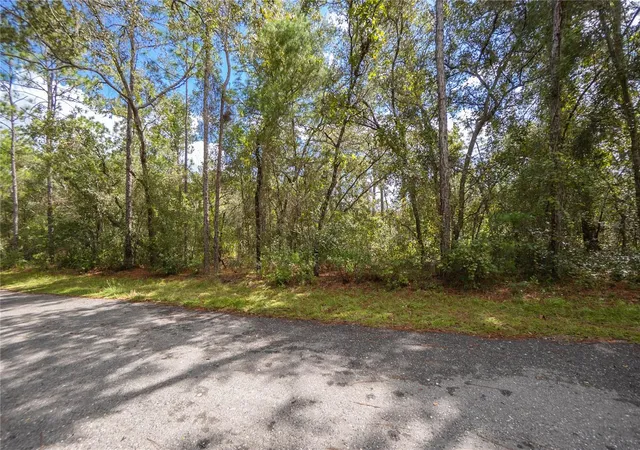 Photo 3 of Land for sale at 3210 E Michael St, Inverness, FL 34453 | MLS# W7883407 | Listing updated on 2026-09-01