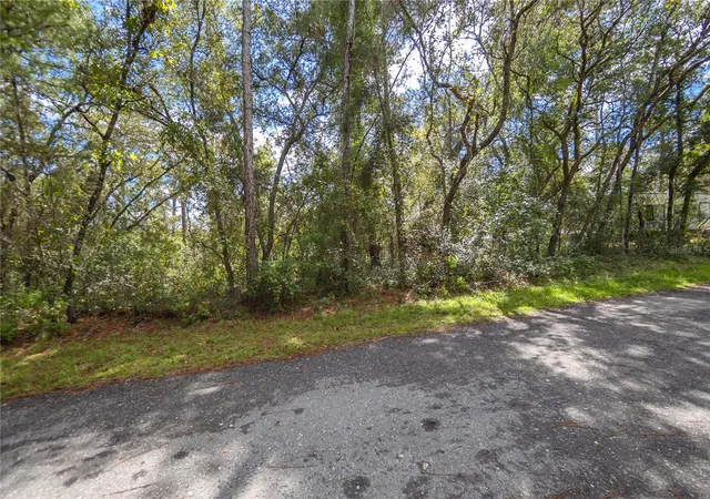 Photo 3 of Land for sale at 3210 E Michael St, Inverness, FL 34453 | MLS# W7883407 | Listing updated on 2026-09-01