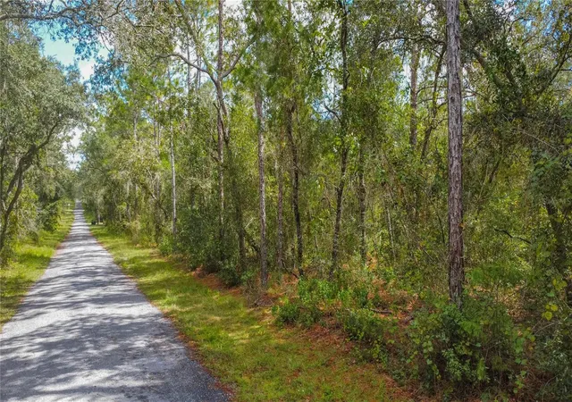 Photo 4 of Land for sale at 3210 E Michael St, Inverness, FL 34453 | MLS# W7883407 | Listing updated on 2026-09-01