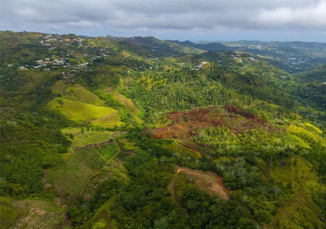 Photo 2 of Land for sale at Carr 252 Kmhm 222, Orocovis, PR 00720 | MLS# PR9119530 | Listing updated on 2026-10-06