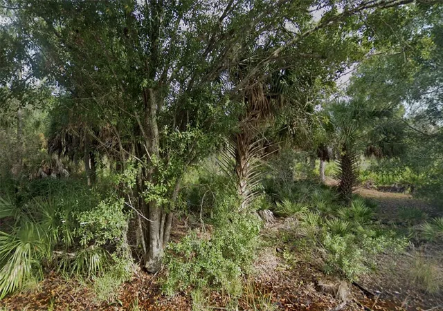 Photo 1 of Land for sale at 3382 Tiffiny St, Punta Gorda, FL 33980 | MLS# O6385982 | Listing updated on 2026-02-27