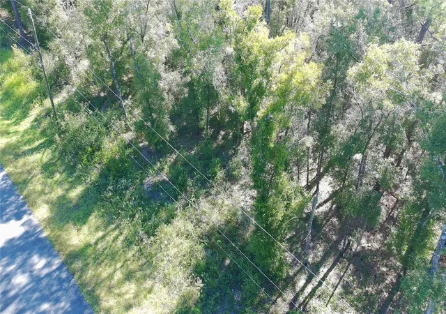 Photo 3 of Land for sale at 9321 N Jackson Way, Citrus Springs, FL 34434 | MLS# S5144740 | Listing updated on 2026-10-02
