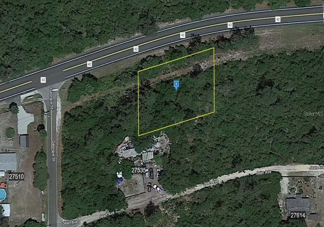 Homes for sale in Paisley, FL | 27654 County Road 42, Paisley, FL 32767 | MLS# O6386311