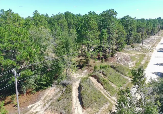 Photo 3 of Land for sale at 1402 Twin Lakes Blvd, Interlachen, FL 32148 | MLS# S5144784 | Listing updated on 2026-10-17
