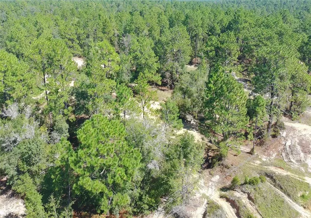 Photo 3 of Land for sale at 1402 Twin Lakes Blvd, Interlachen, FL 32148 | MLS# S5144784 | Listing updated on 2026-10-17