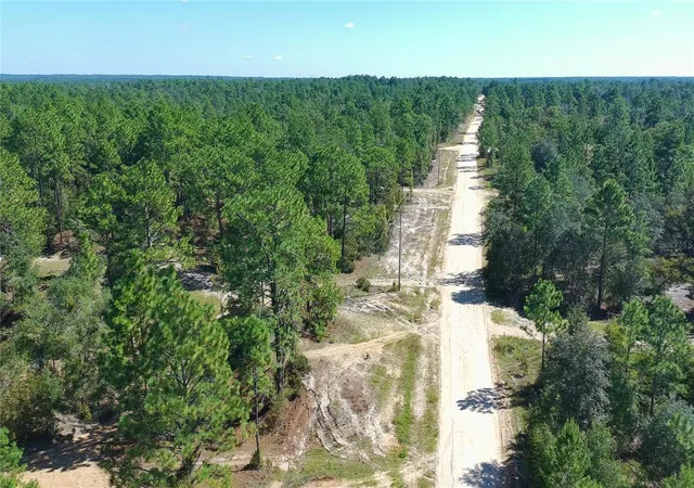 Photo 4 of Land for sale at 1402 Twin Lakes Blvd, Interlachen, FL 32148 | MLS# S5144784 | Listing updated on 2026-10-17