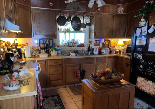 Homes for sale in Lake Panasoffkee, FL | 1050 Cr 482D, Lake Panasoffkee, FL 33538 | MLS# G5108879