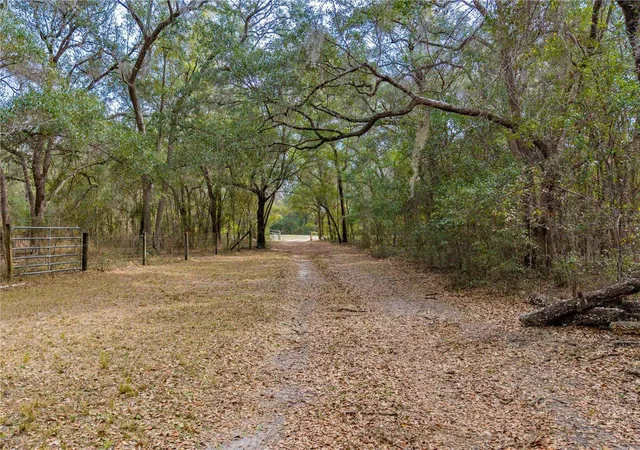 49th image of 19514 N County Road 225, Gainesville, FL 32609 | MLS# GC538017