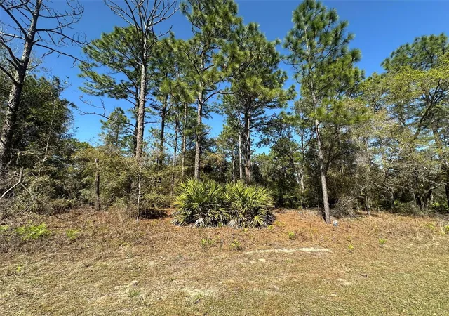 Photo 1 of Land for sale at 833 W Champlain Ln, Citrus Springs, FL 34434 | MLS# OM719810 | Listing updated on 2026-02-28