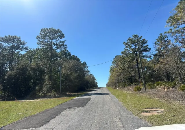 Photo 2 of Land for sale at 833 W Champlain Ln, Citrus Springs, FL 34434 | MLS# OM719810 | Listing updated on 2026-02-28