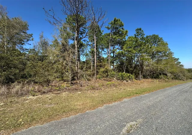 Photo 3 of Land for sale at 833 W Champlain Ln, Citrus Springs, FL 34434 | MLS# OM719810 | Listing updated on 2026-02-28